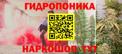 PSILOCYBIN Гусиноозёрск