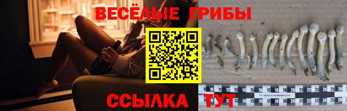 Галлюциногенные грибы прущие грибы  Вход с VPN  Псилоцибиновые грибы Cubensis  Михайловка 
